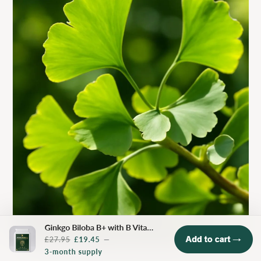 E-commerce store — Premium