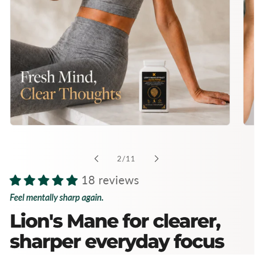 E-commerce store — Premium