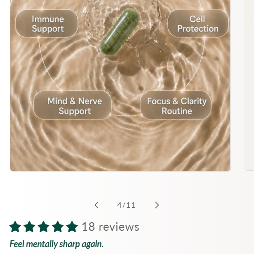 E-commerce store — Premium